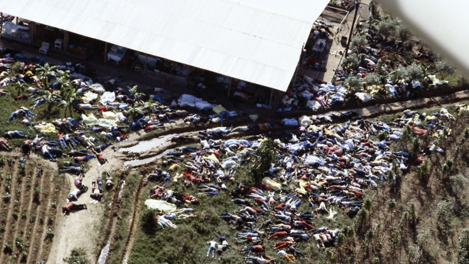 The Jonestown Massacre 40 Years On An Isolated Tragedy 5759