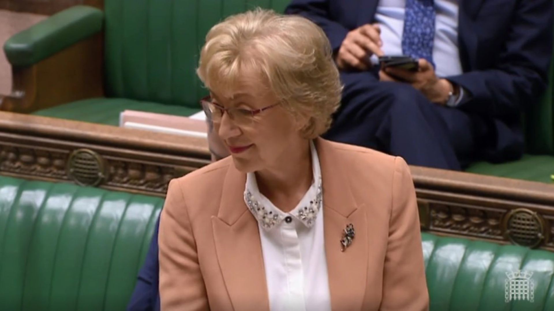 Andrea Leadsom Reads Out A Pro Brexit Poem In The House Of Commons 