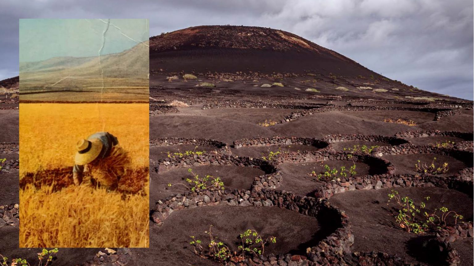 lanzarote tourism history