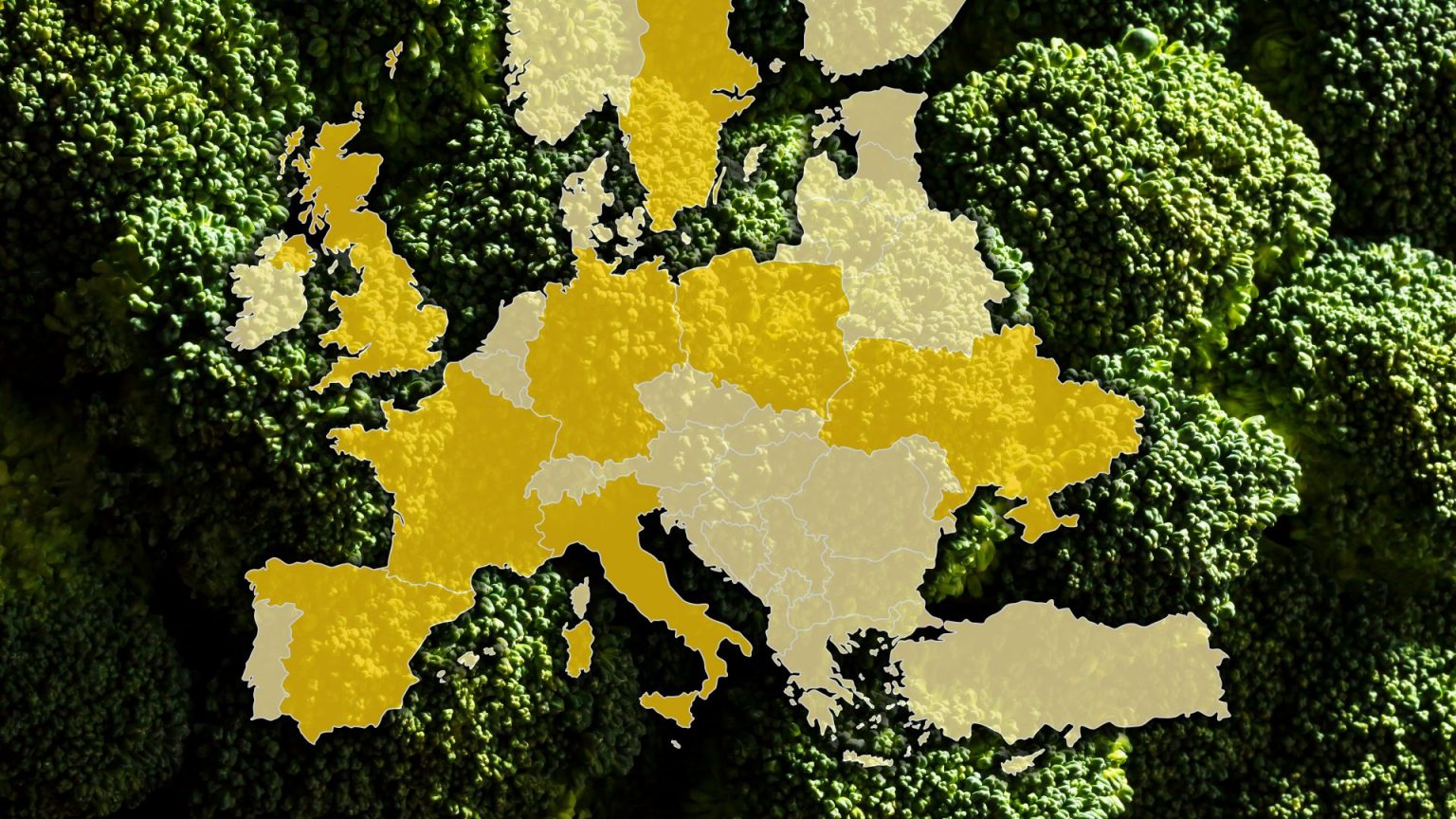 wideangle-which-countries-have-the-most-vegetarians-the-new-european