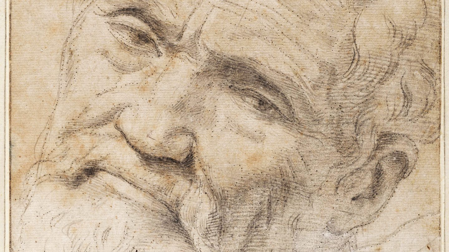 Daniele da Volterra, Cartoon for a portrait of Michelangelo, 1550-55, depicting the artist when
he was more than 70 years old. Photos: Telyers Museum, Harlem, the Netherlands