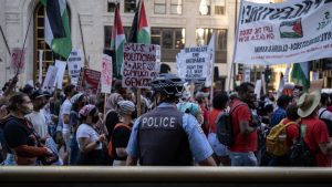 ro-Palestine protesters march ahead of the Democratic National Convention. Photo: Jim Vondruska/Getty Images