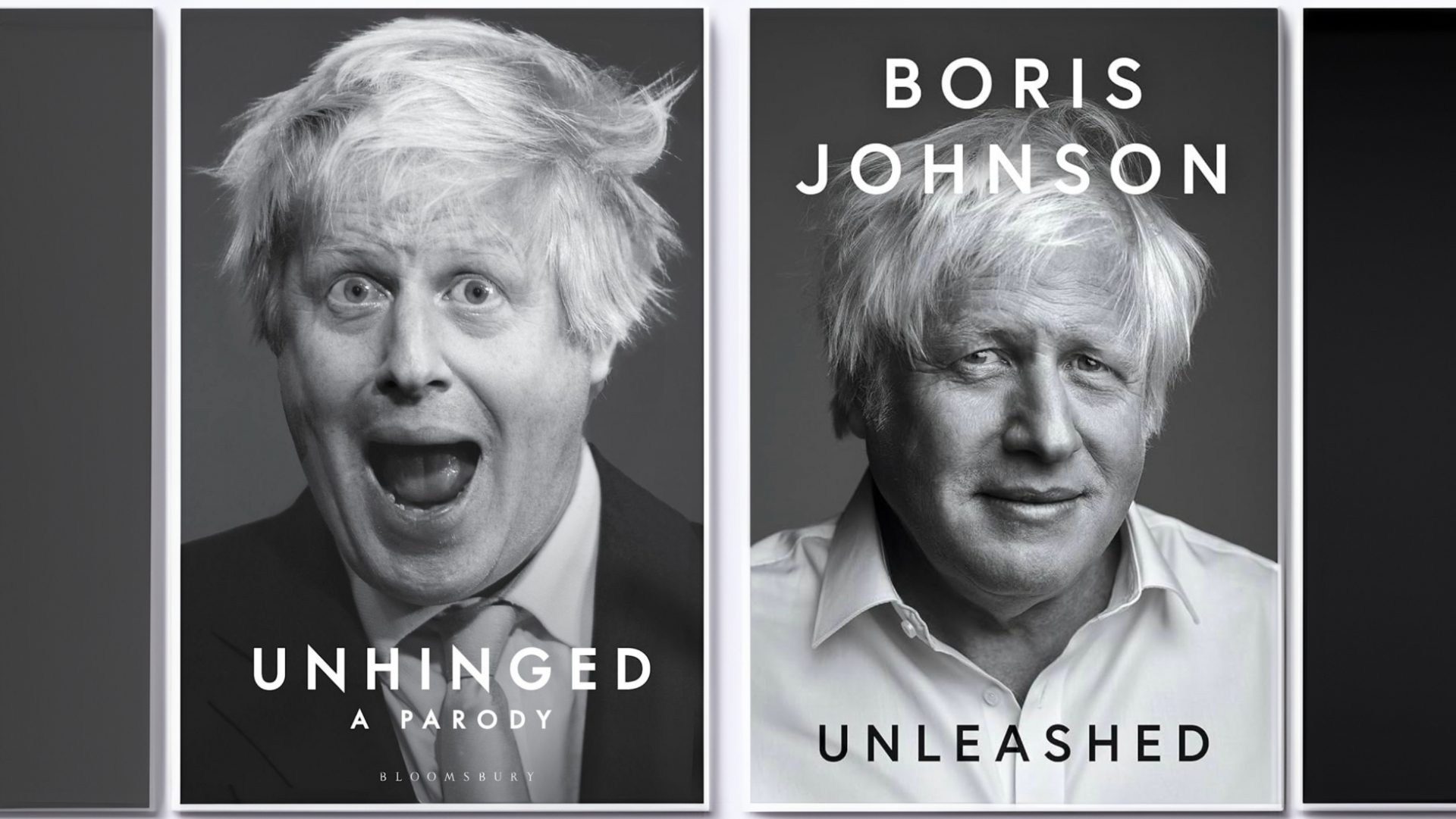 Ian Martin’s Unhinged is the perfect antidote to Johnson’s excruciating Unleashed