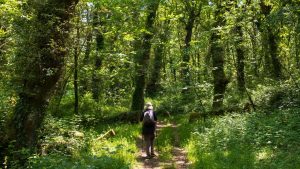 A hiker walks through the Fraga de Catasós in Lalin, Galicia. Photo: Xurxo Lobato/Getty