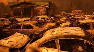 Cars destroyed by the recent wildfires in Altadena, California. Climate change is no longer a problem for the future, it is a real and present danger. Photo: Justin Sullivan/Getty 