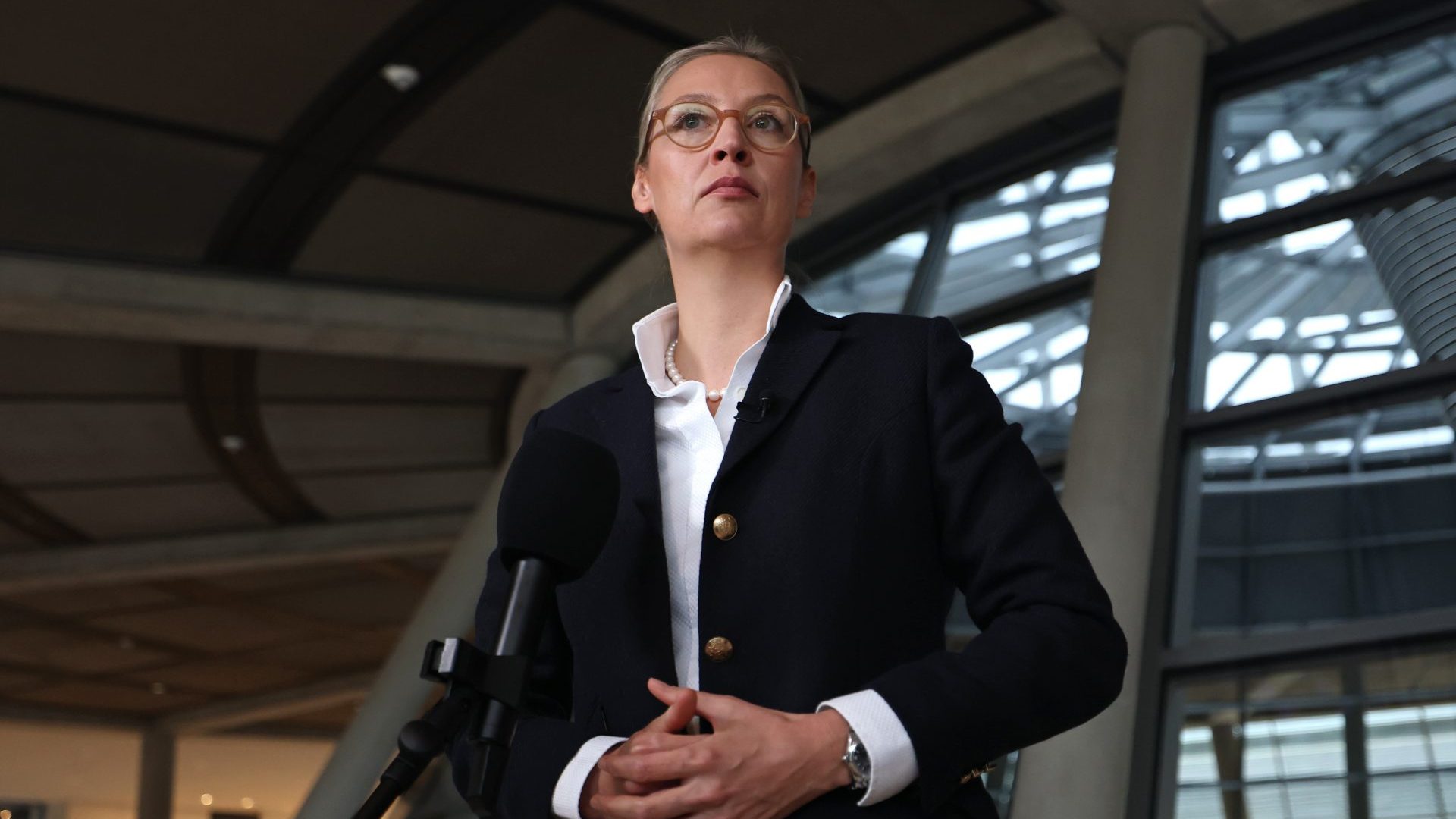 Alice Weidel has done whatever it takes to get noticed. Photo: Maja Hitij/Getty Images