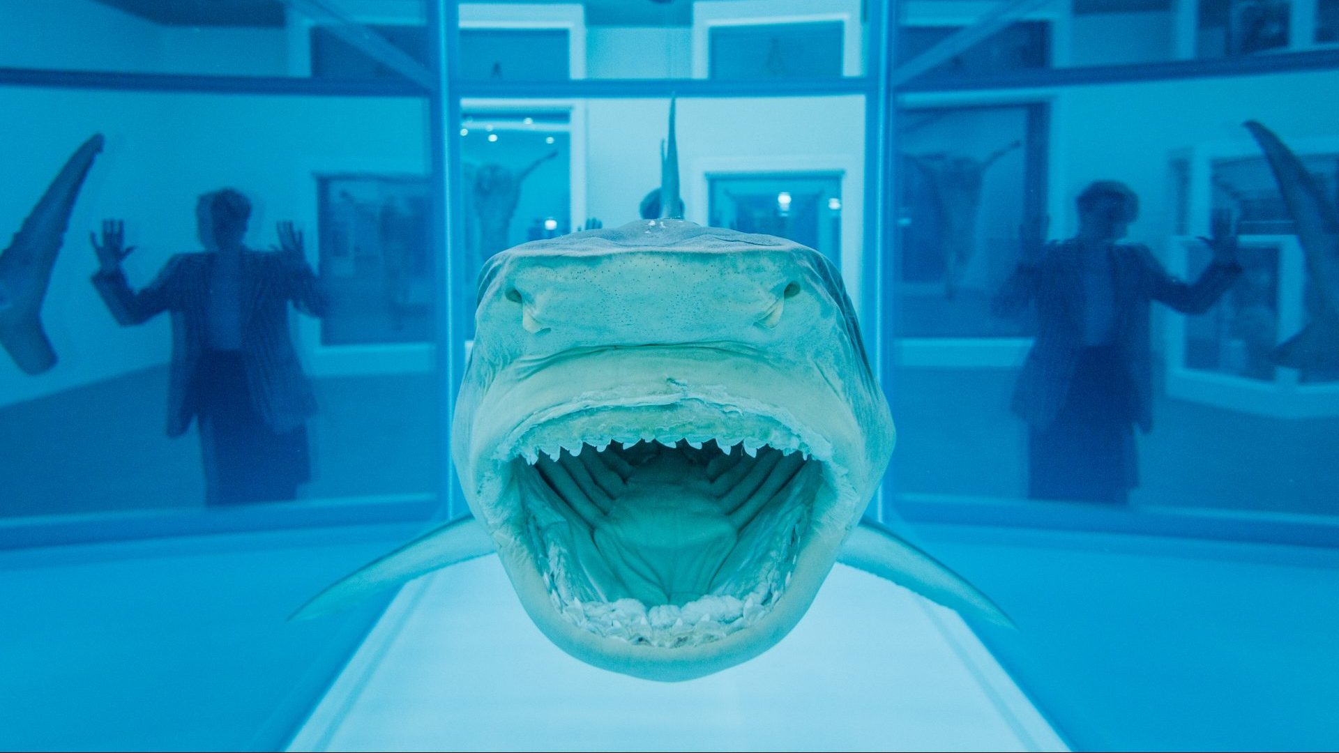 Damien Hirst’s Death Denied, 2008, part of the ‘Natural History’ exhibition at the Gagosian Gallery in London, March 2022. Photo: Tristan Fewings