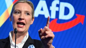 Leader of the AfD Alice Weidel. Photo: Soren Stache/Getty