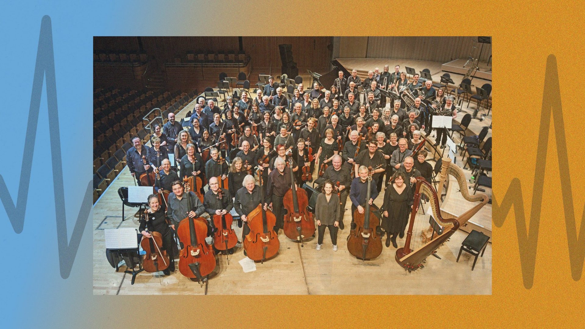 The EDO performs at least two public charity concerts a year, aiming to promote the public's understanding in the performance and appreciation of music. Photo: europeandoctorsorchestra.com